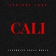 CALI feat Young Noble Single