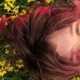 songs from another life