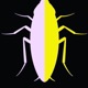BUGS feat Ridzyray Single