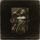 What You Want Single