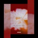 Red Flag Incl ART CHITEC Remix Single