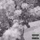 burnout Single