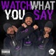 Watch What You Say Single
