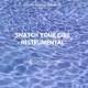 Snatch Your Girl Instrumental Single