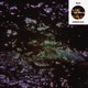 Bahia Fink Remix Single