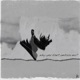 Why You Don t Embrace Me feat 7 Single