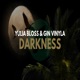 Darkness feat Gin Vinyla Single