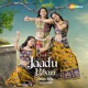 Jaadu Bhari Garba Mix feat Sanya Ohri Single