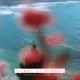 Ocean of Dreams feat Imran Single