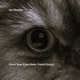 From Your Eyes feat Frank Zozky Single