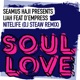Nitelife DJ Steaw Remix Seamus Haji Presents feat D Empress Single