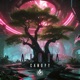 Canopy Single