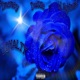 Loyalty feat Dusse Lil Nightmare Single