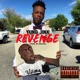 Revenge Single