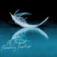 floating feather Single