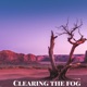 Clearing the Fog