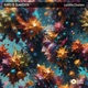 Lucidity Clusters Single
