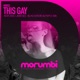 This Gay Single