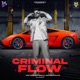 Criminal Flow Single