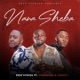 Nana Sheba feat lunvcy Vusinator Single