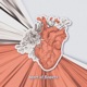 Heart of Flowers Single