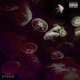 Étoiles feat Thace Ludwig Antharesss Single