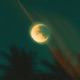 Moonlight Single