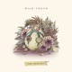 Wild Youth The Remixes