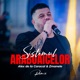 Sistemul Araboaicelor Remix Single