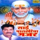 Sai Palkhicha Gajar