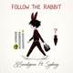 Follow the Rabbit Single