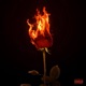 No Love EP