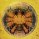 Shakespeare Remixes EP