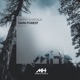 Dark Forest Single