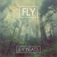 Fly Single