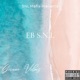 Giveon Vibes Single