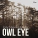 Owl Eye Single