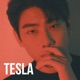 TESLA feat PiLO Single