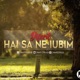 Hai Sa Ne Iubim Single