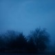 Dead Stars Single