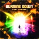 Burning Down Single