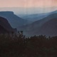 Patience Single
