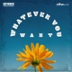 Whatever You Want Single