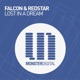 Lost in a Dream Single