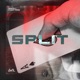 Split Single