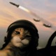 FUR MISILE Single
