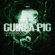 GUINEA PIG feat Kill Dyll Single