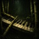 Bamboo Single