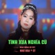 Tình Xưa Nghĩa Cũ Single