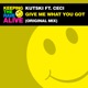 Give Me What You Got feat Ceci Single